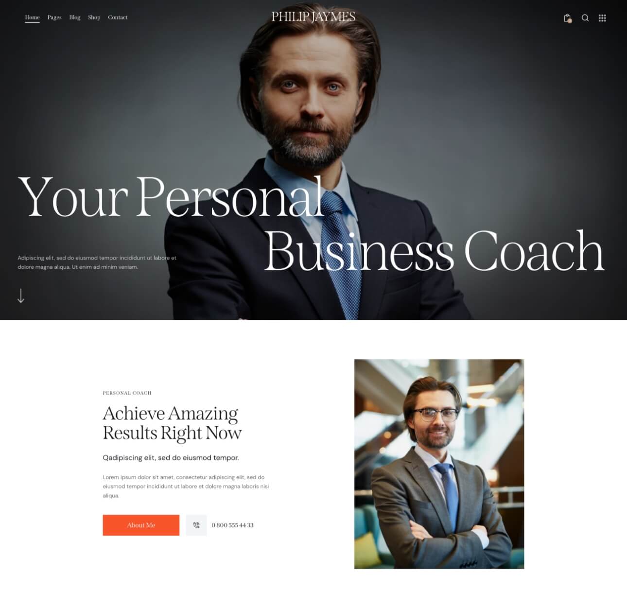 Business Coach